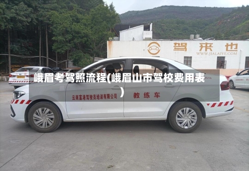 峨眉考驾照流程(峨眉山市驾校费用表)