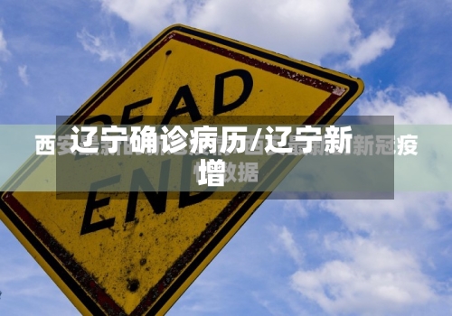 辽宁确诊病历/辽宁新增-第2张图片