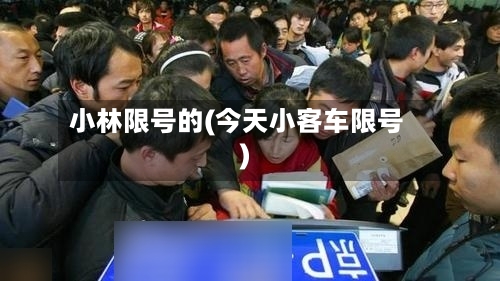 小林限号的(今天小客车限号)-第2张图片