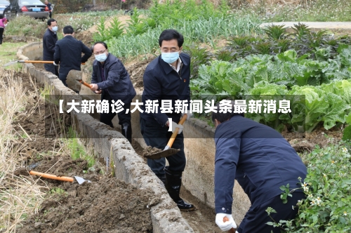 【大新确诊,大新县新闻头条最新消息】