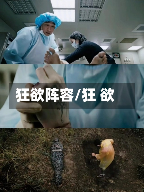 狂欲阵容/狂 欲