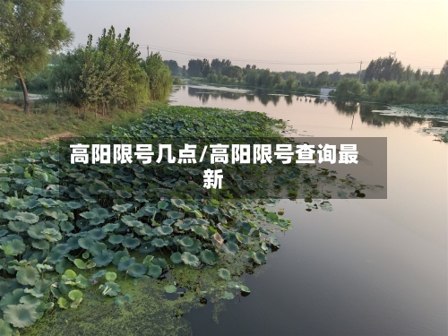 高阳限号几点/高阳限号查询最新-第3张图片
