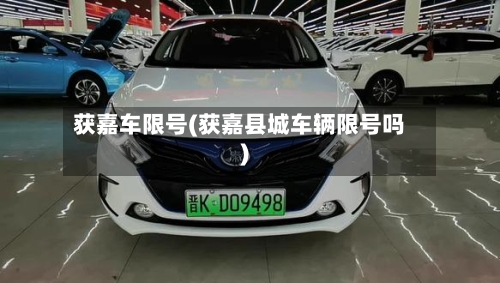 获嘉车限号(获嘉县城车辆限号吗)-第3张图片