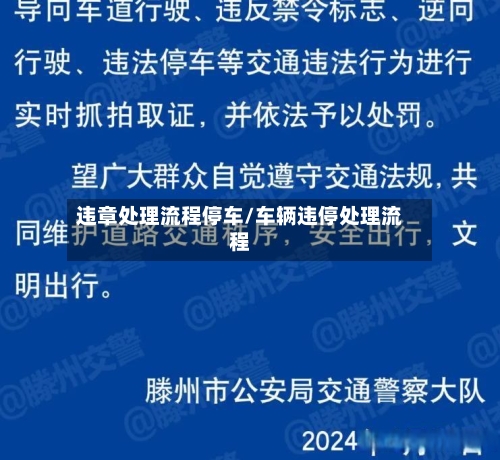 违章处理流程停车/车辆违停处理流程