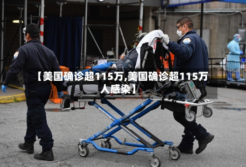 【美国确诊超115万,美国确诊超115万人感染】-第3张图片