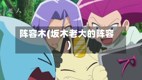 阵容木(坂木老大的阵容)-第2张图片