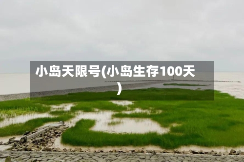 小岛天限号(小岛生存100天)-第3张图片