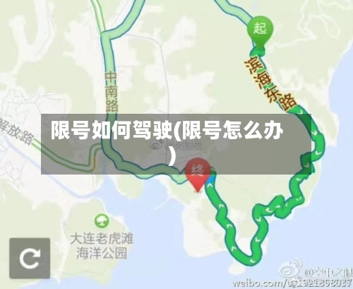 限号如何驾驶(限号怎么办)-第2张图片