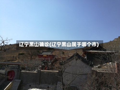 辽宁黑山确诊(辽宁黑山属于哪个市)-第2张图片