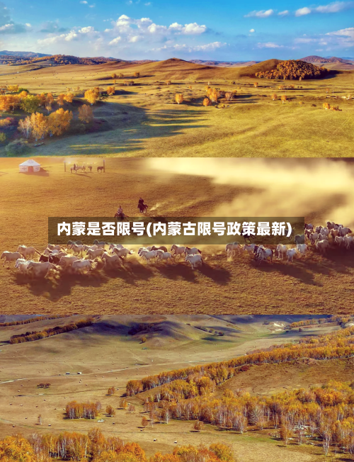 内蒙是否限号(内蒙古限号政策最新)-第2张图片