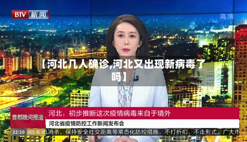 【河北几人确诊,河北又出现新病毒了吗】-第2张图片