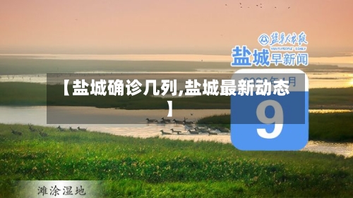 【盐城确诊几列,盐城最新动态】-第2张图片