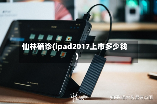 仙林确诊(ipad2017上市多少钱)-第2张图片