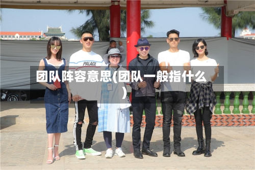 团队阵容意思(团队一般指什么)