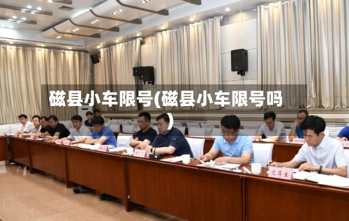 磁县小车限号(磁县小车限号吗)