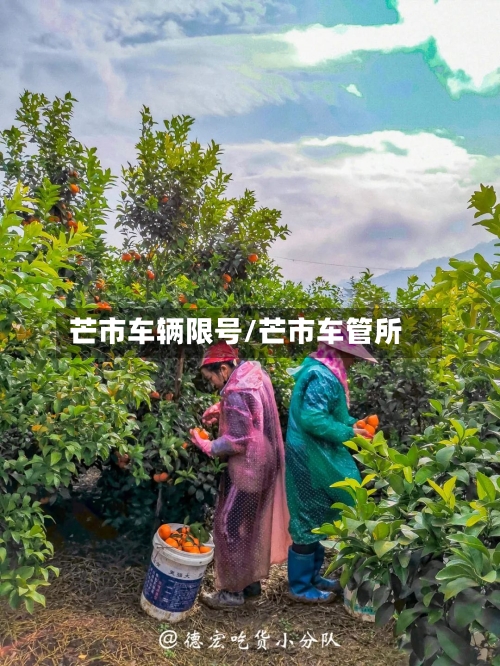 芒市车辆限号/芒市车管所