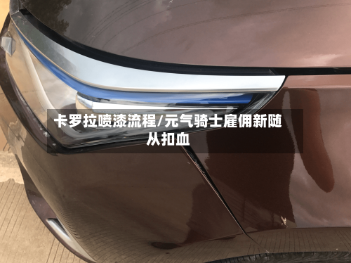 卡罗拉喷漆流程/元气骑士雇佣新随从扣血-第3张图片