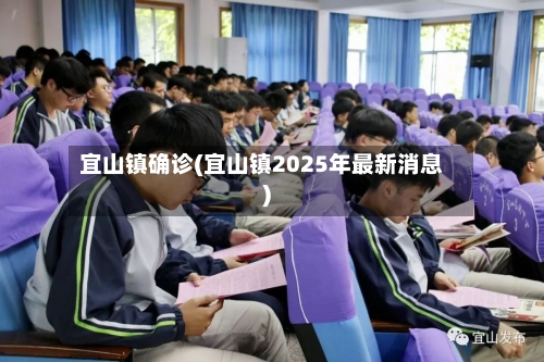 宜山镇确诊(宜山镇2025年最新消息)-第2张图片
