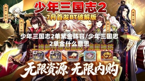 少年三国志2单紫金阵容/少年三国志2单金什么意思-第2张图片