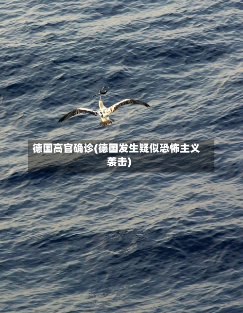 德国高官确诊(德国发生疑似恐怖主义袭击)-第2张图片