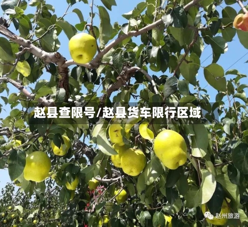 赵县查限号/赵县货车限行区域