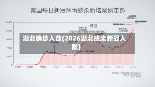 湖北确诊人数(2026湖北感染新冠人数)