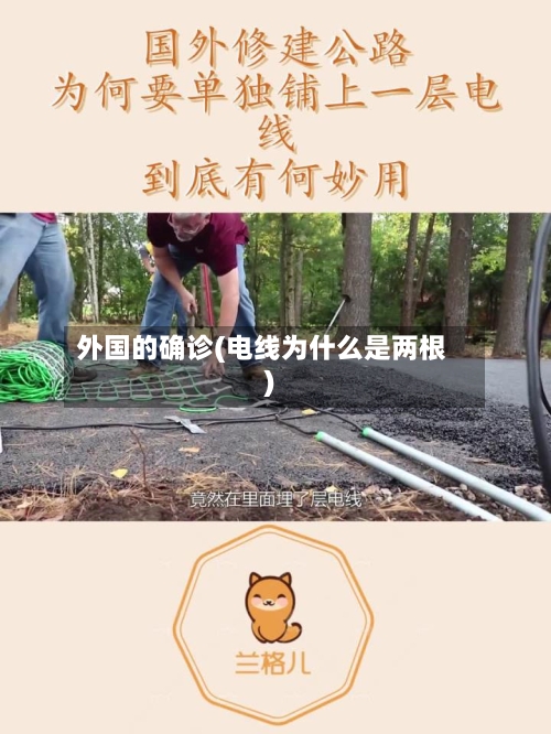 外国的确诊(电线为什么是两根)-第3张图片