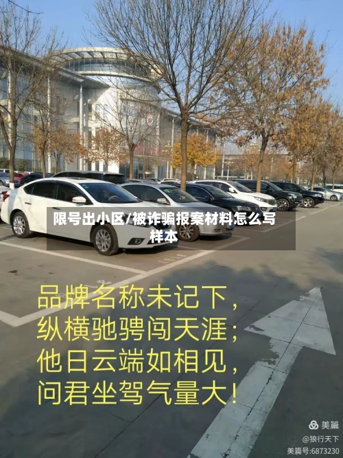 限号出小区/被诈骗报案材料怎么写样本