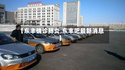 【东丰确诊肺炎,东丰吧最新消息】
