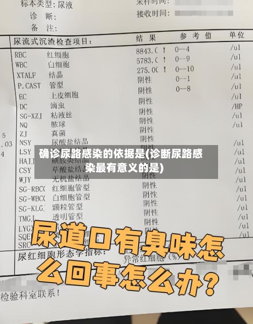 确诊尿路感染的依据是(诊断尿路感染最有意义的是)