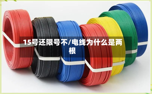 15号还限号不/电线为什么是两根-第3张图片