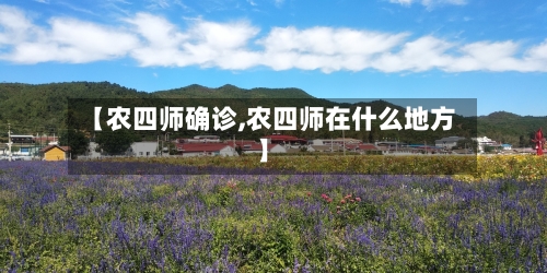 【农四师确诊,农四师在什么地方】