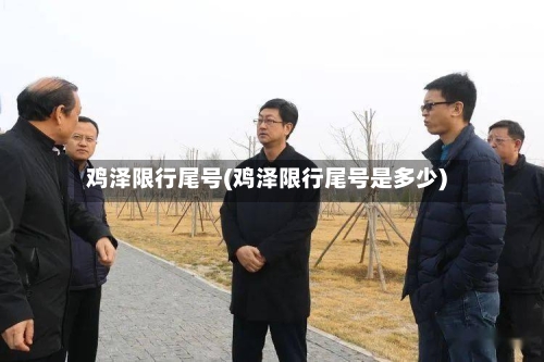 鸡泽限行尾号(鸡泽限行尾号是多少)-第2张图片