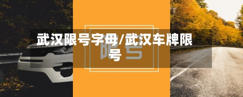 武汉限号字母/武汉车牌限号