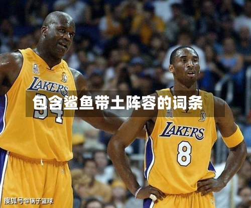 包含鲨鱼带土阵容的词条