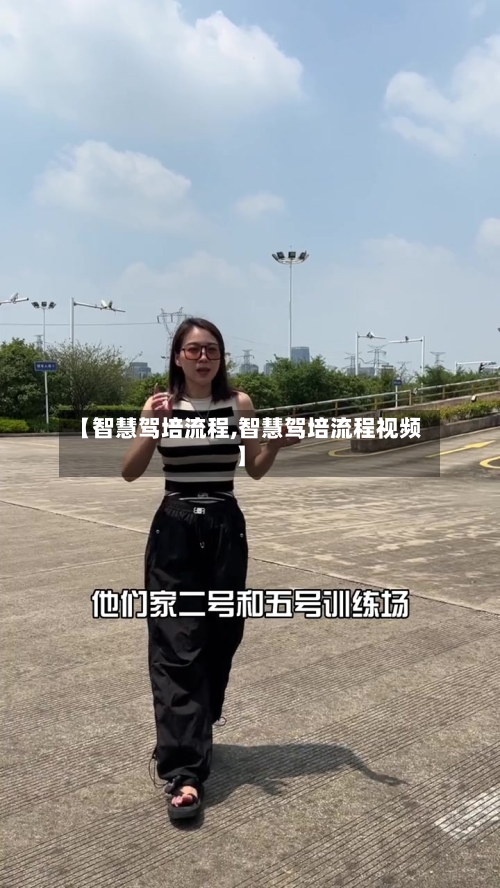 【智慧驾培流程,智慧驾培流程视频】