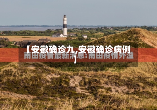 【安徽确诊九,安徽确诊病例】-第3张图片