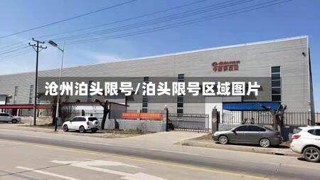 沧州泊头限号/泊头限号区域图片